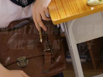 在17吃瓜网站,你可能只是一颗忙着‘长瓜’的种子