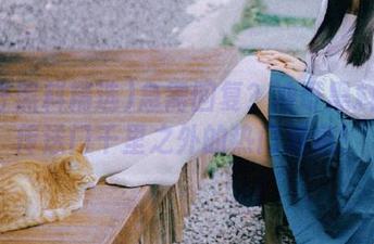 急需回复？冲哥黑料精选传送门千里之外的热门消息！