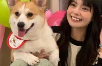 吃瓜专区,瓜香四溢的欢乐线路等你体验!