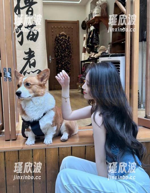对了，黑料不打烊发布的新手机端入口有人用过吗？来聊聊使用感！