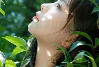 黑料不打烊里的传送门,今天又有哪些瓜来袭?