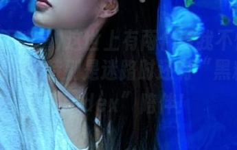 这世上有两件事我不怕：黑料和迷路，特别是迷路时还有“黑料正能量index”陪伴！