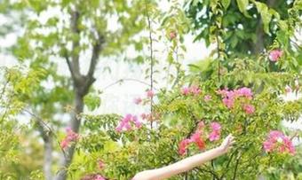 热门视频都在黑料视频网，别再说你还没登录过！